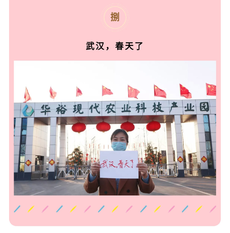 澳门十大电子游戏入口网站