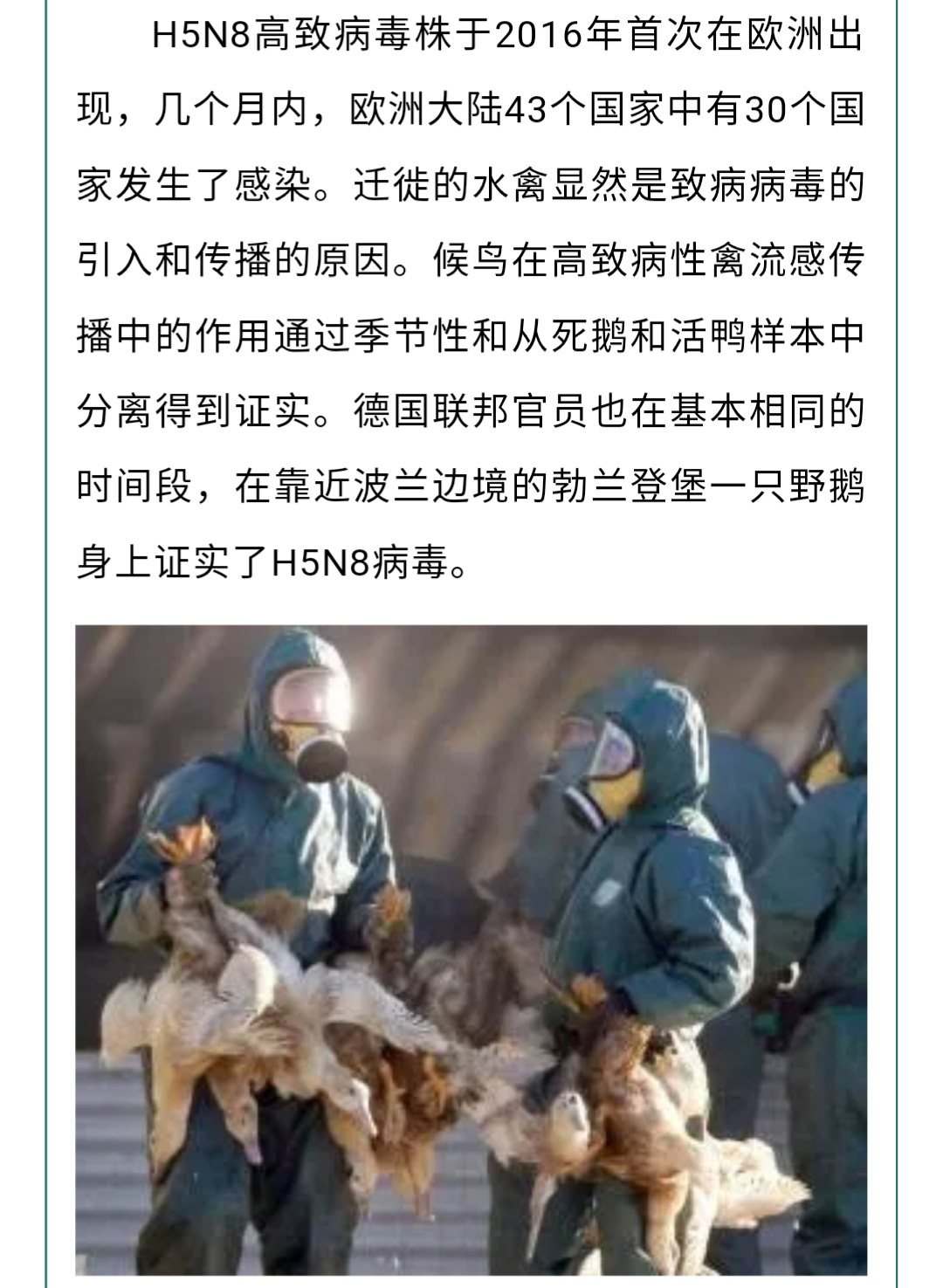 澳门十大电子游戏入口网站