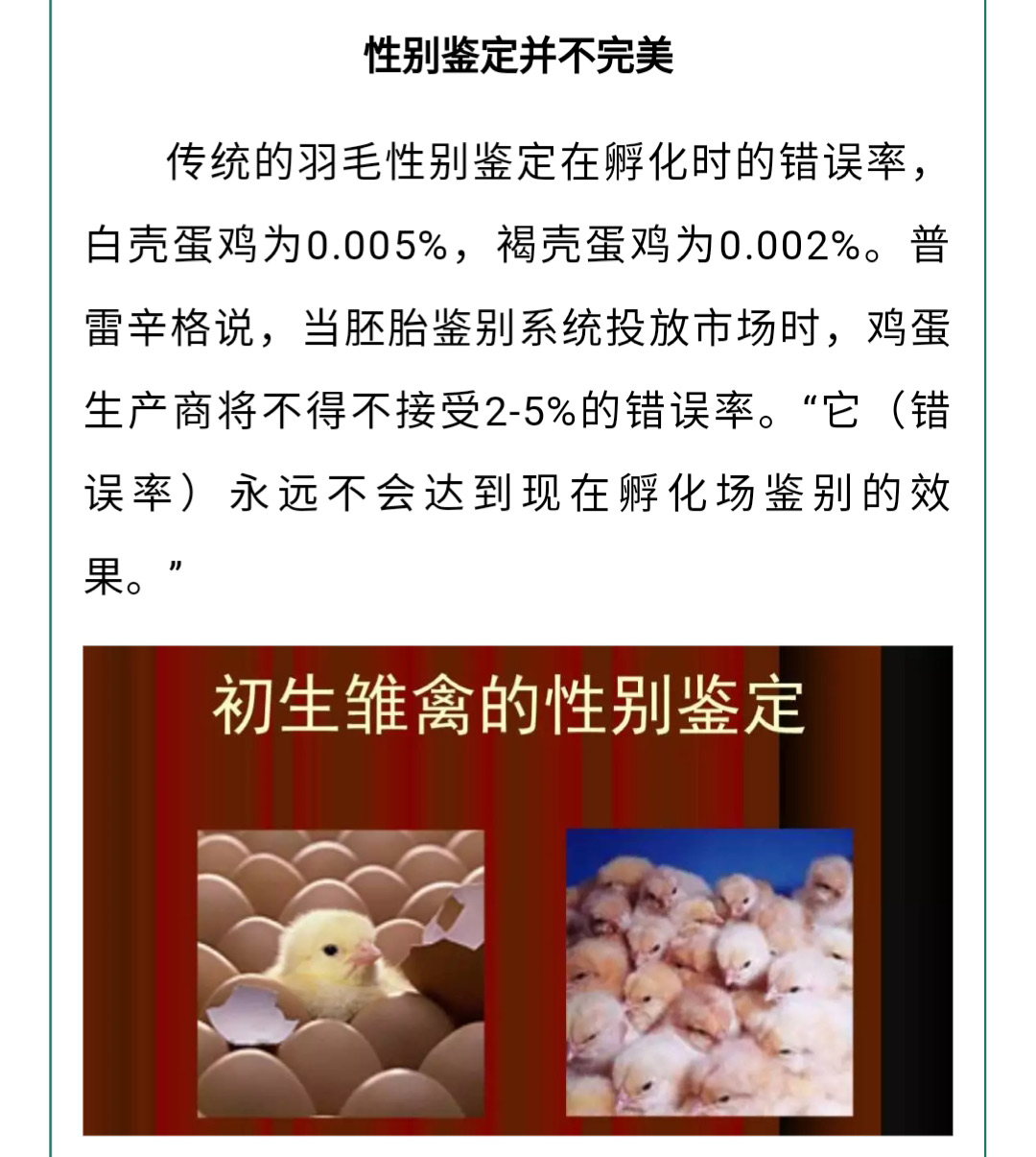 澳门十大电子游戏入口网站