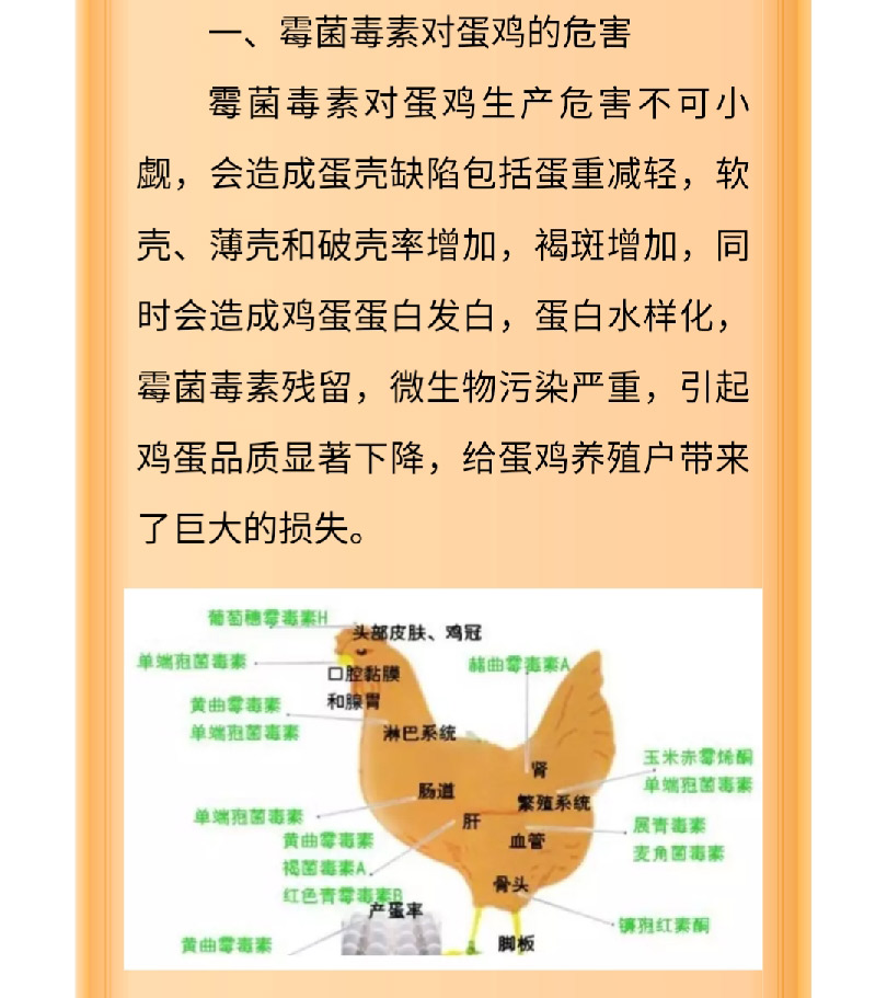 澳门十大电子游戏入口网站