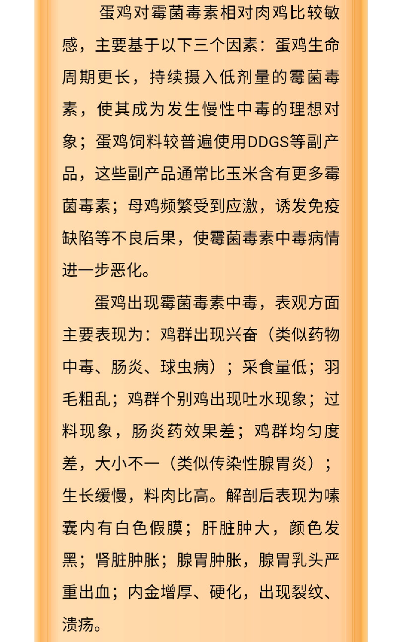 澳门十大电子游戏入口网站