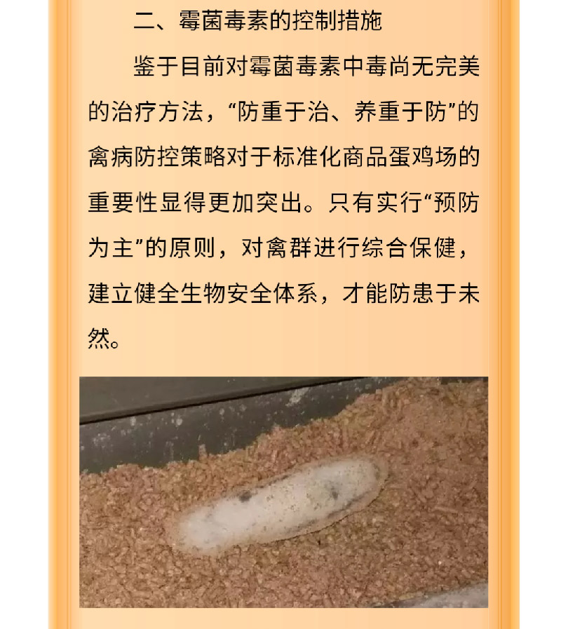 澳门十大电子游戏入口网站
