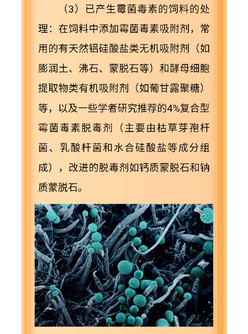 澳门十大电子游戏入口网站