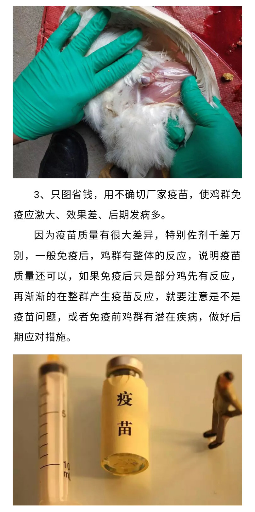 澳门十大电子游戏入口网站