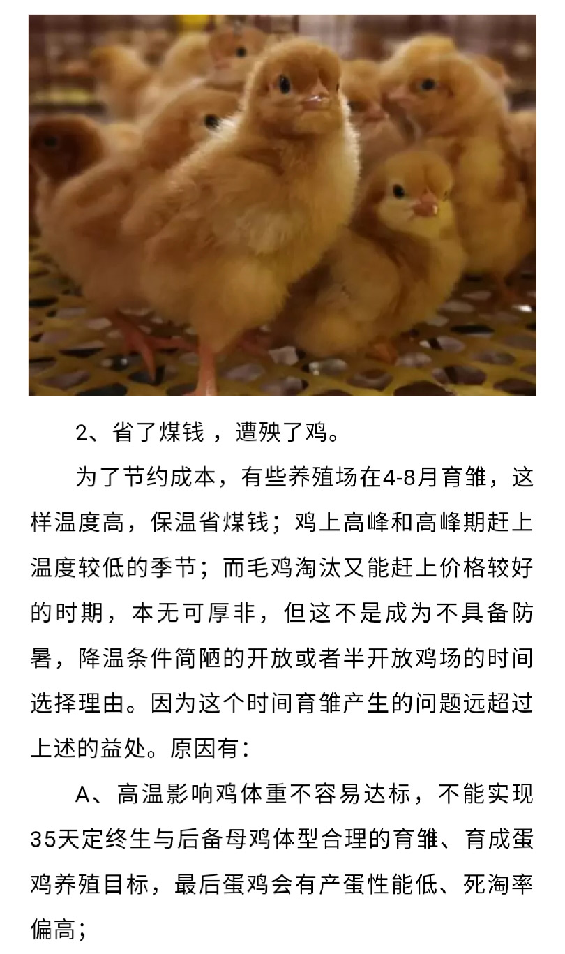 澳门十大电子游戏入口网站