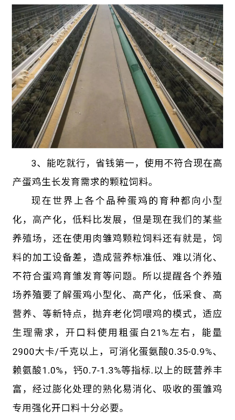 澳门十大电子游戏入口网站