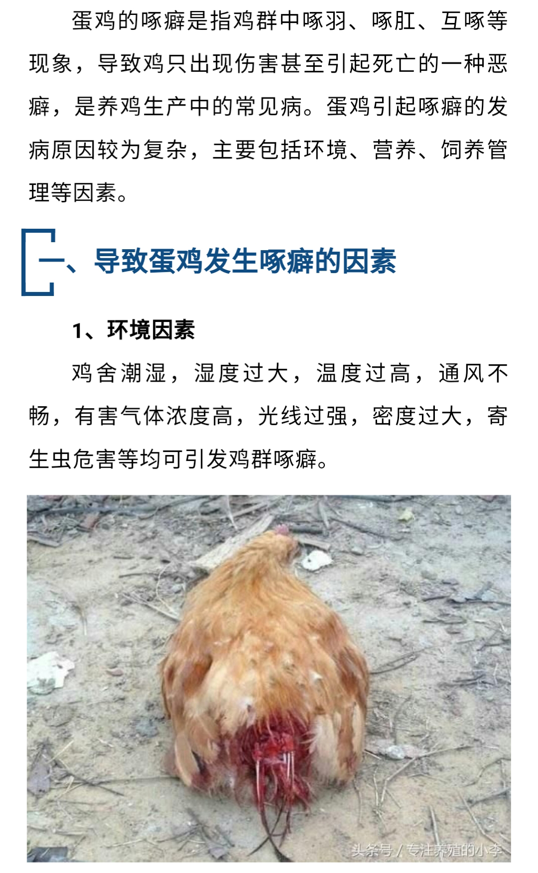 澳门十大电子游戏入口网站