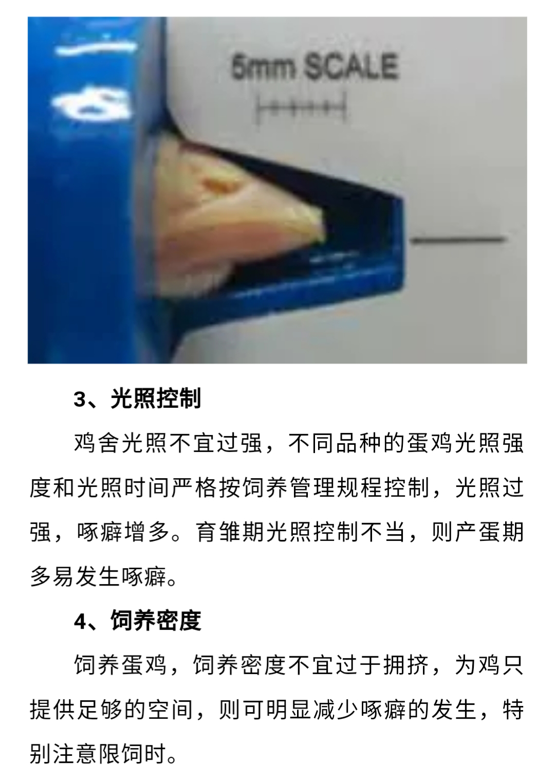 澳门十大电子游戏入口网站