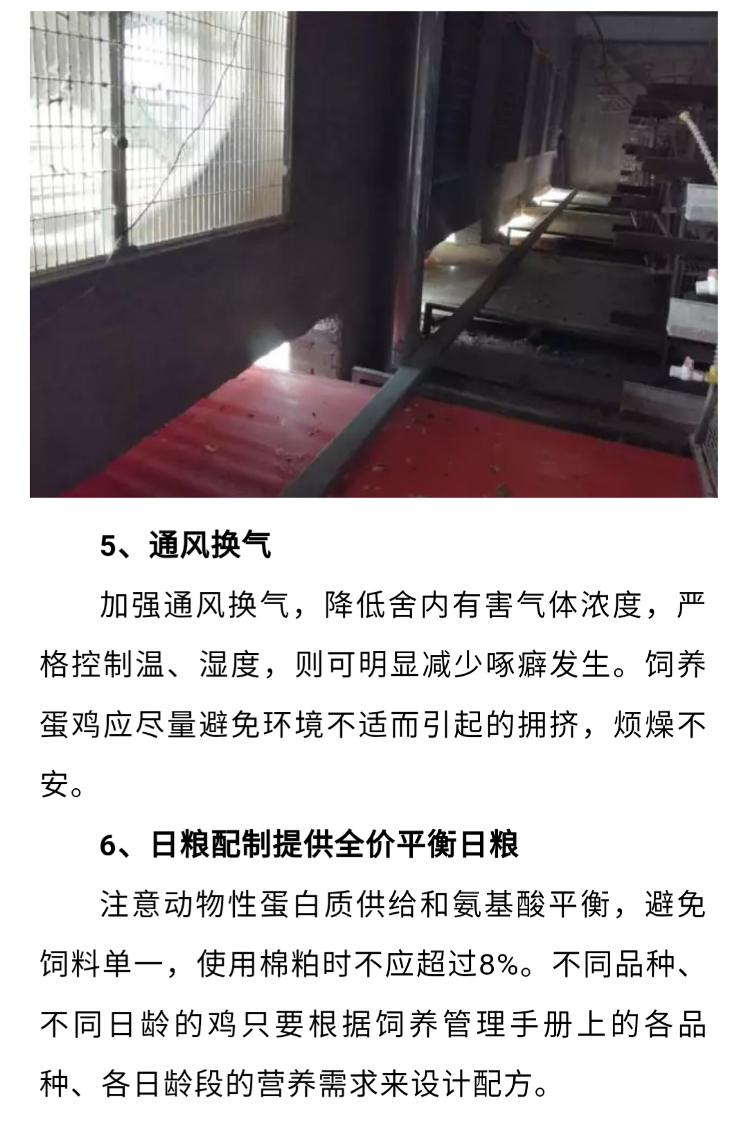 澳门十大电子游戏入口网站