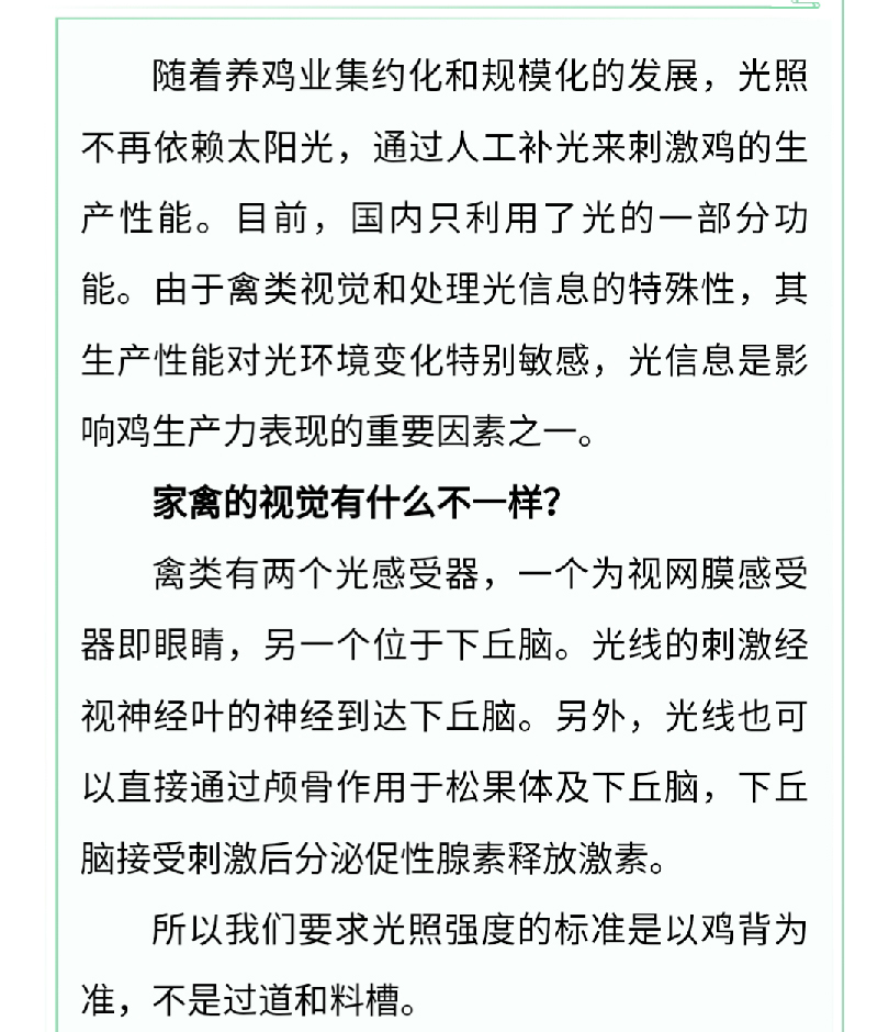 澳门十大电子游戏入口网站