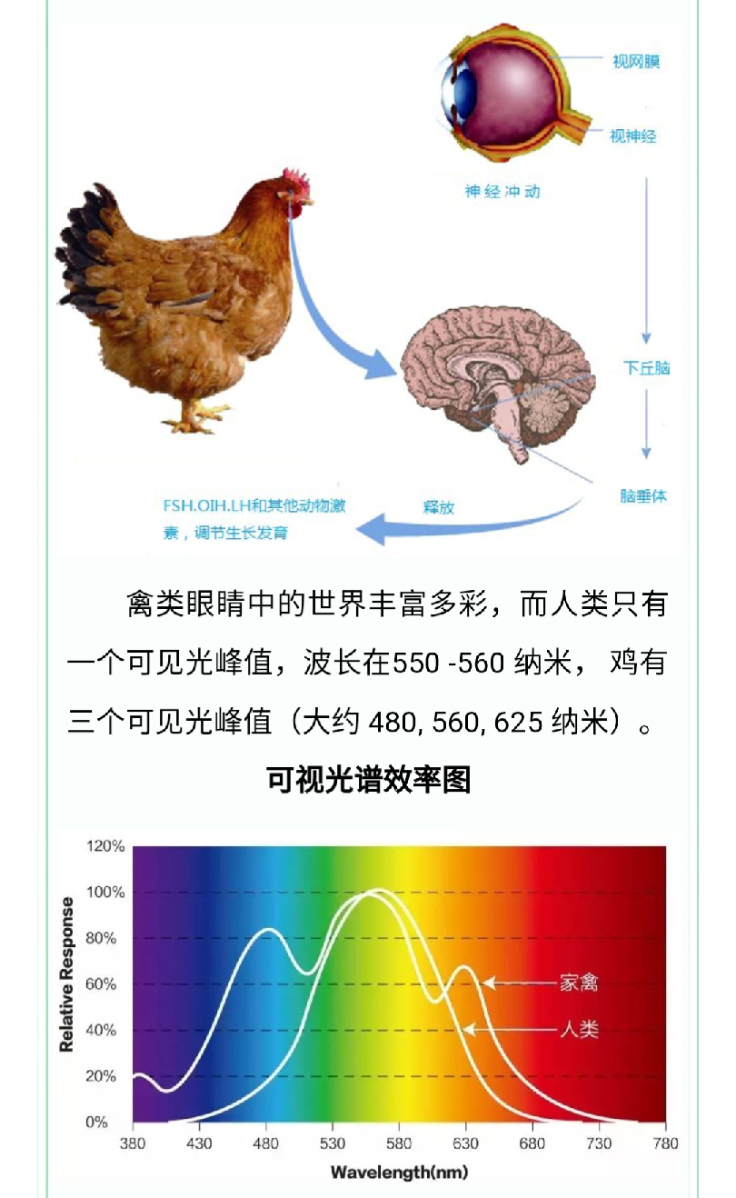 澳门十大电子游戏入口网站