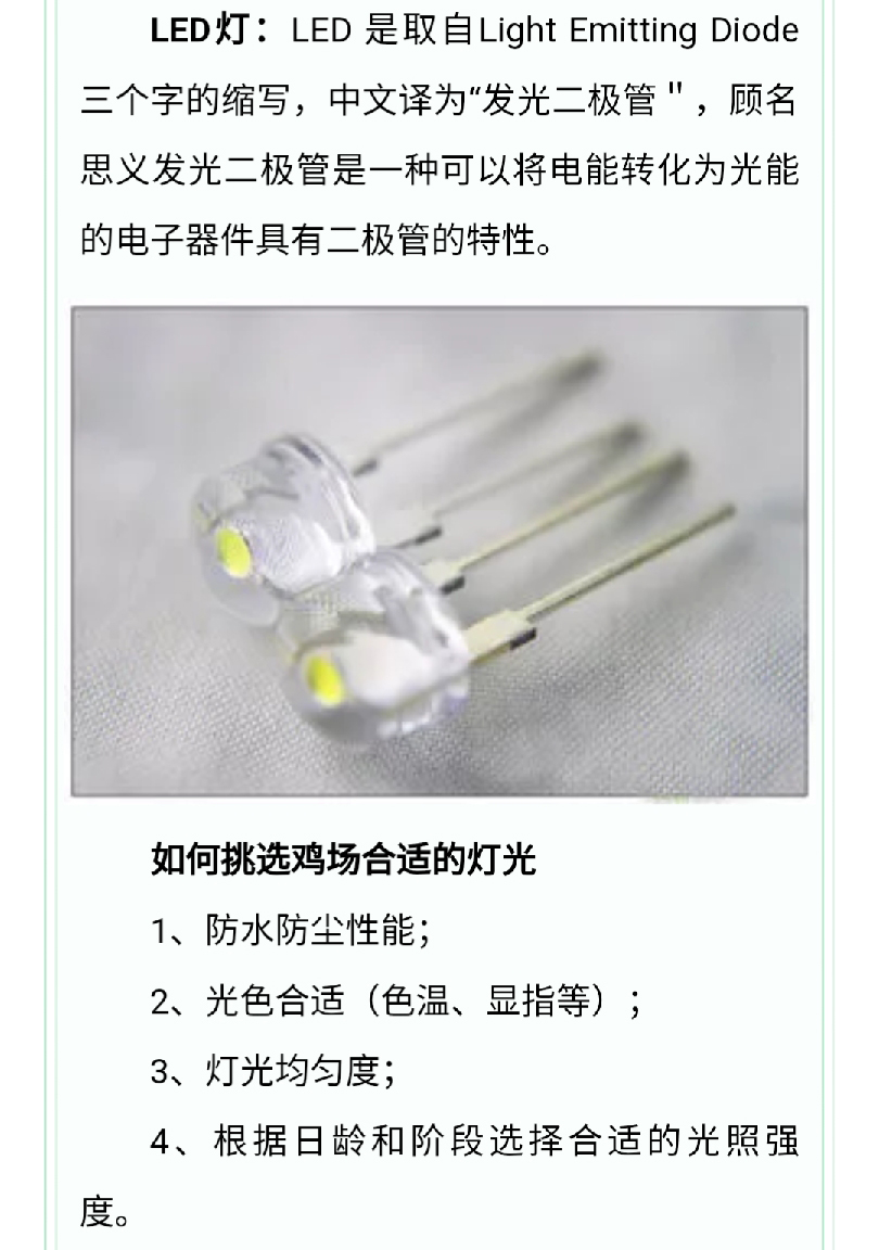 澳门十大电子游戏入口网站