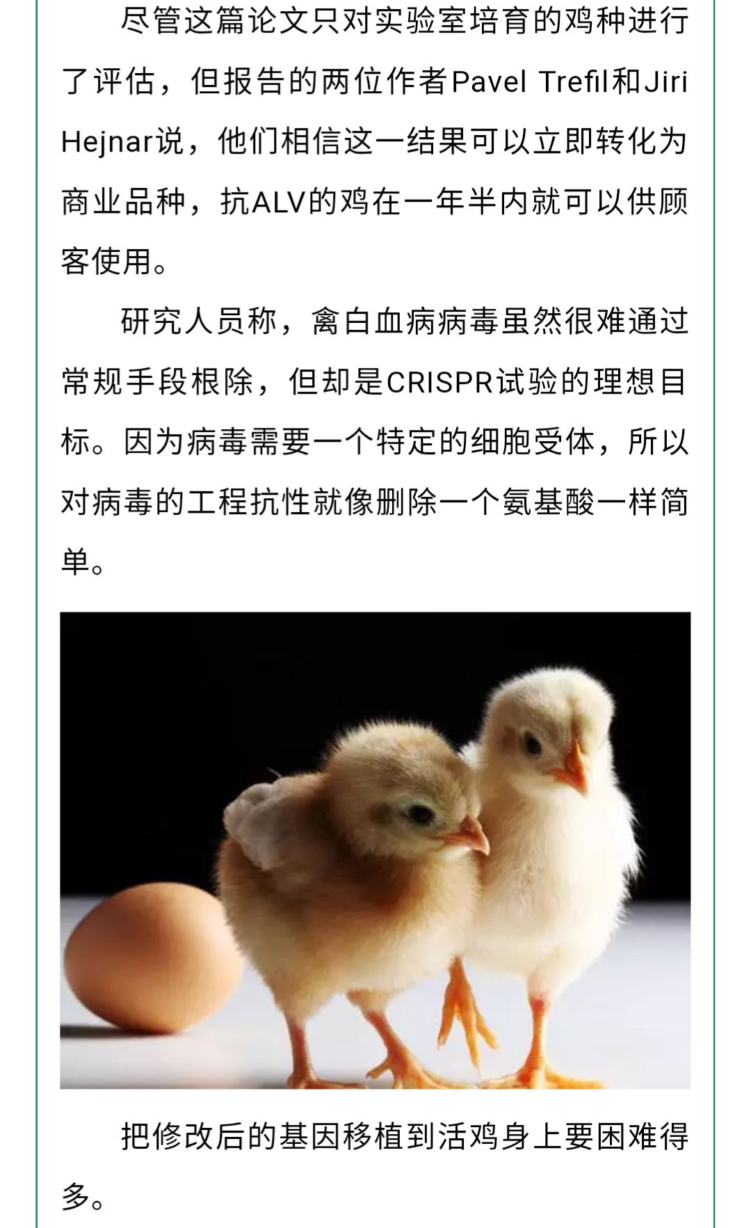 澳门十大电子游戏入口网站