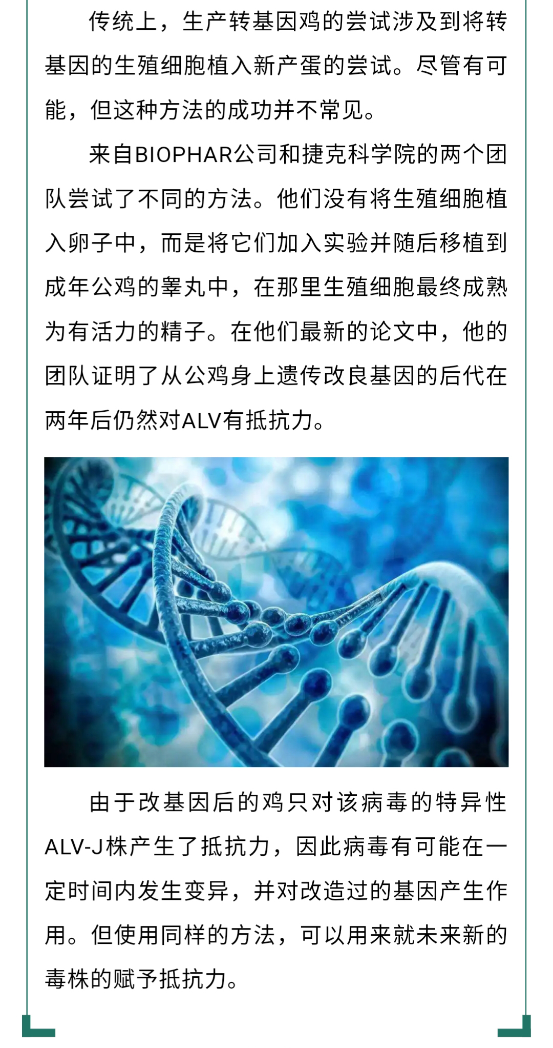 澳门十大电子游戏入口网站