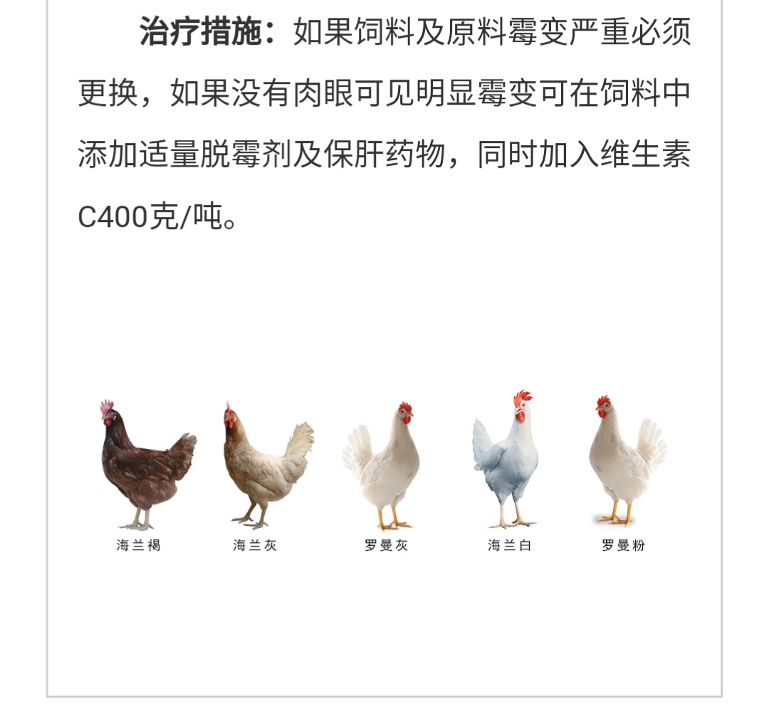 澳门十大电子游戏入口网站