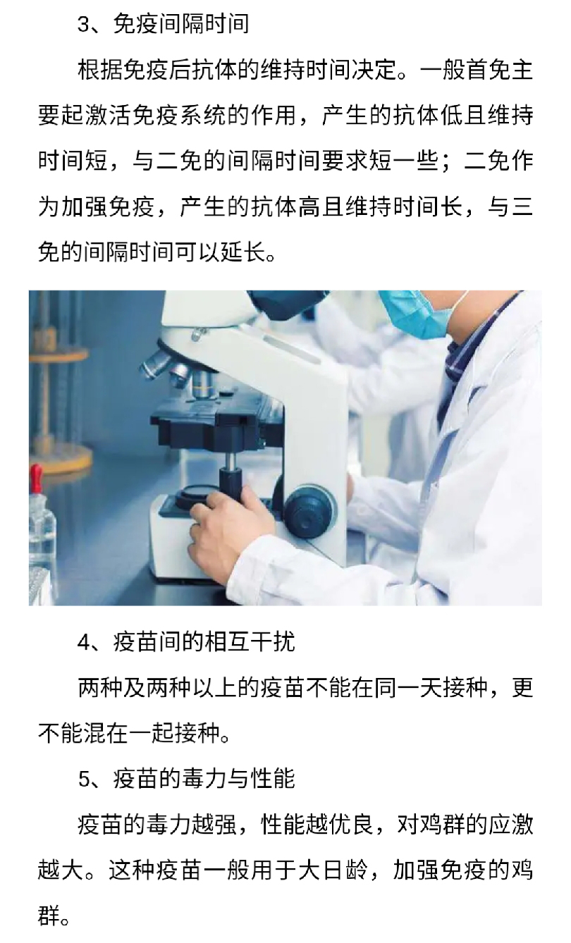 澳门十大电子游戏入口网站