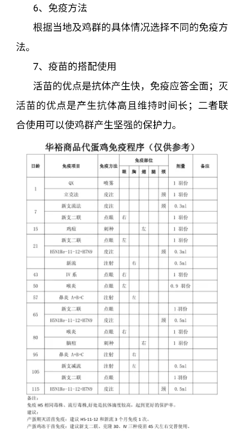 澳门十大电子游戏入口网站