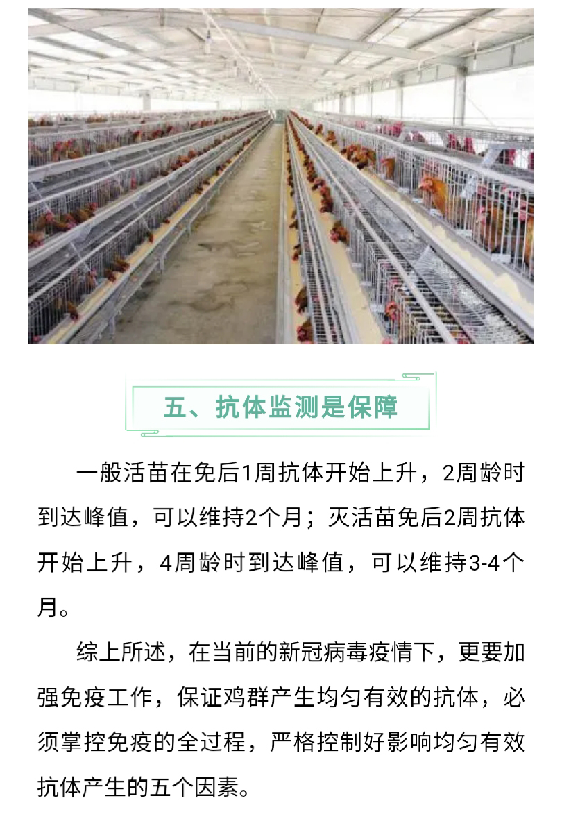 澳门十大电子游戏入口网站