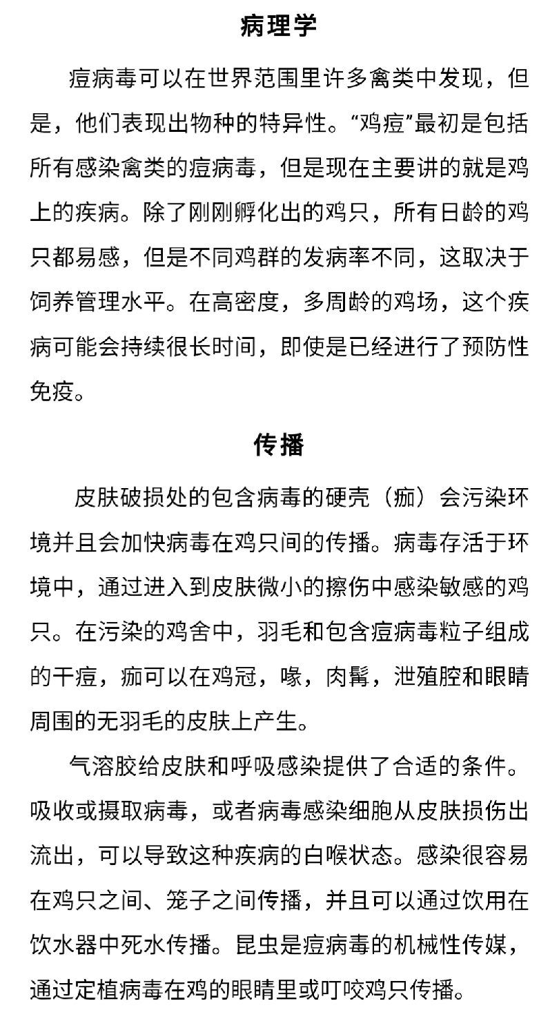 澳门十大电子游戏入口网站