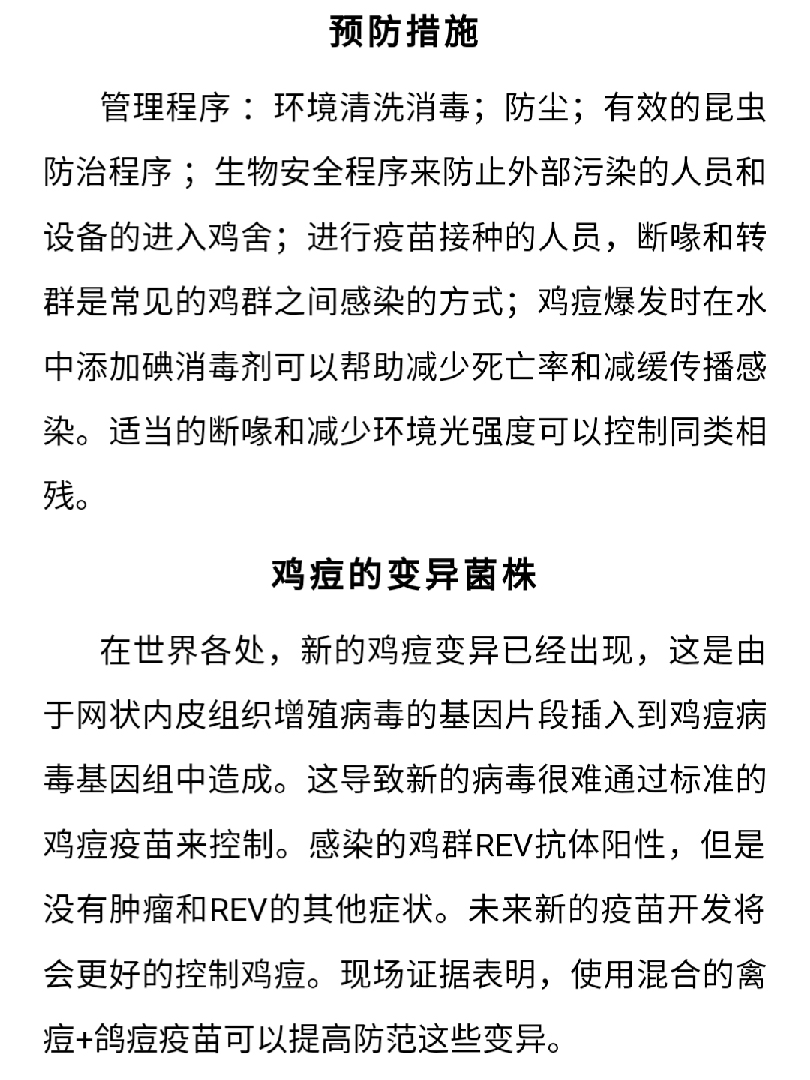 澳门十大电子游戏入口网站