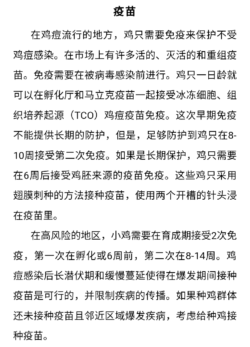 澳门十大电子游戏入口网站