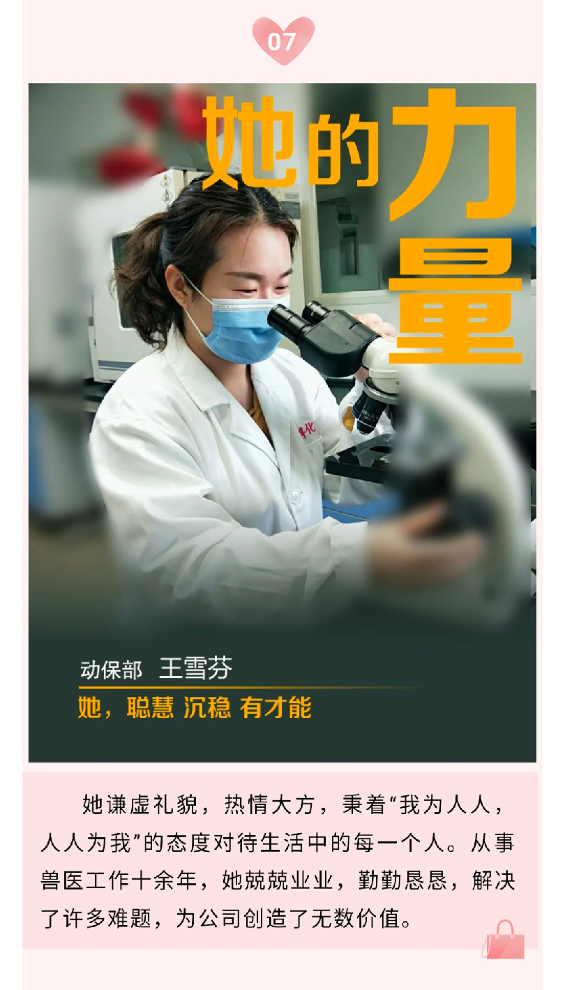 澳门十大电子游戏入口网站