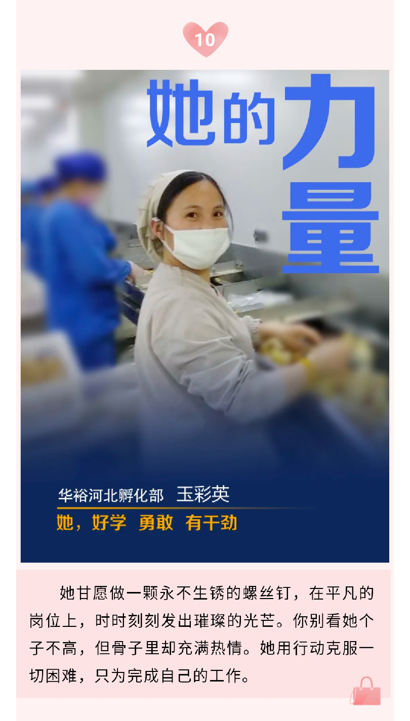 澳门十大电子游戏入口网站