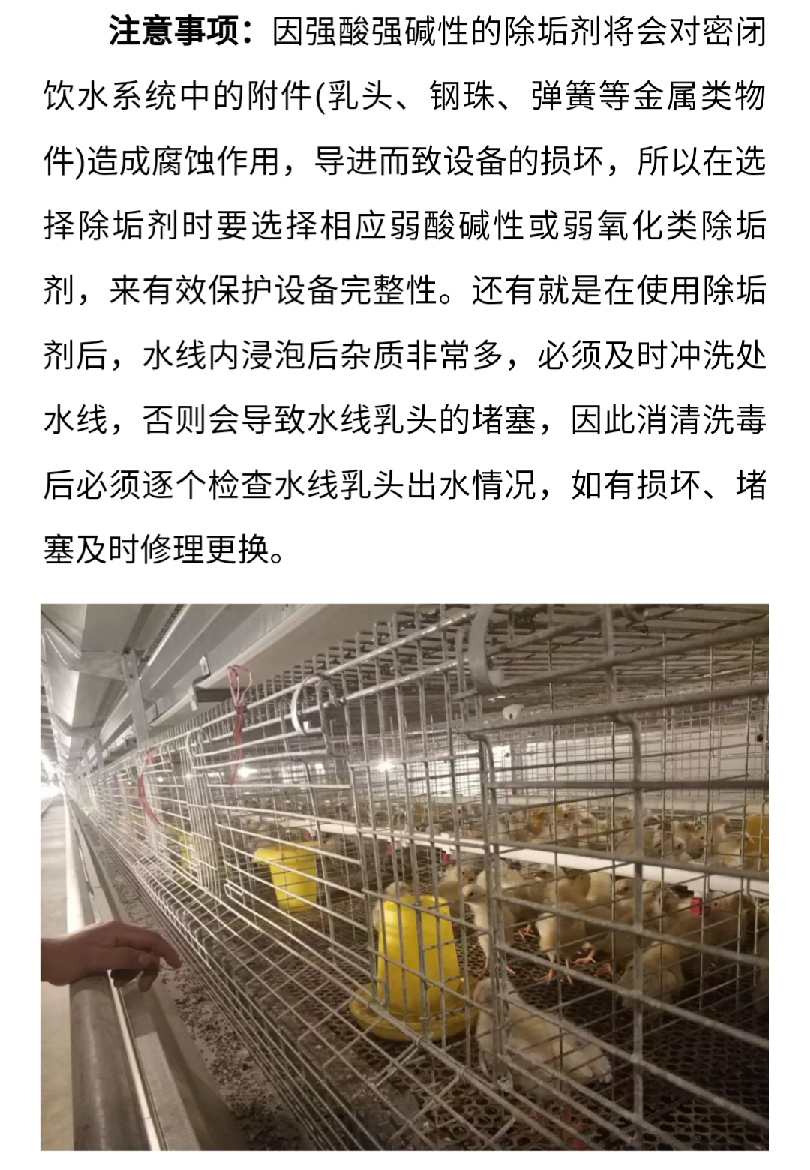 澳门十大电子游戏入口网站