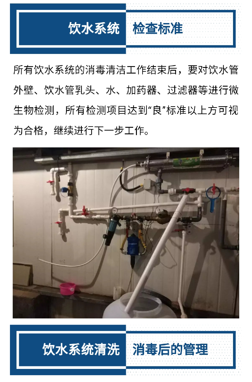 澳门十大电子游戏入口网站