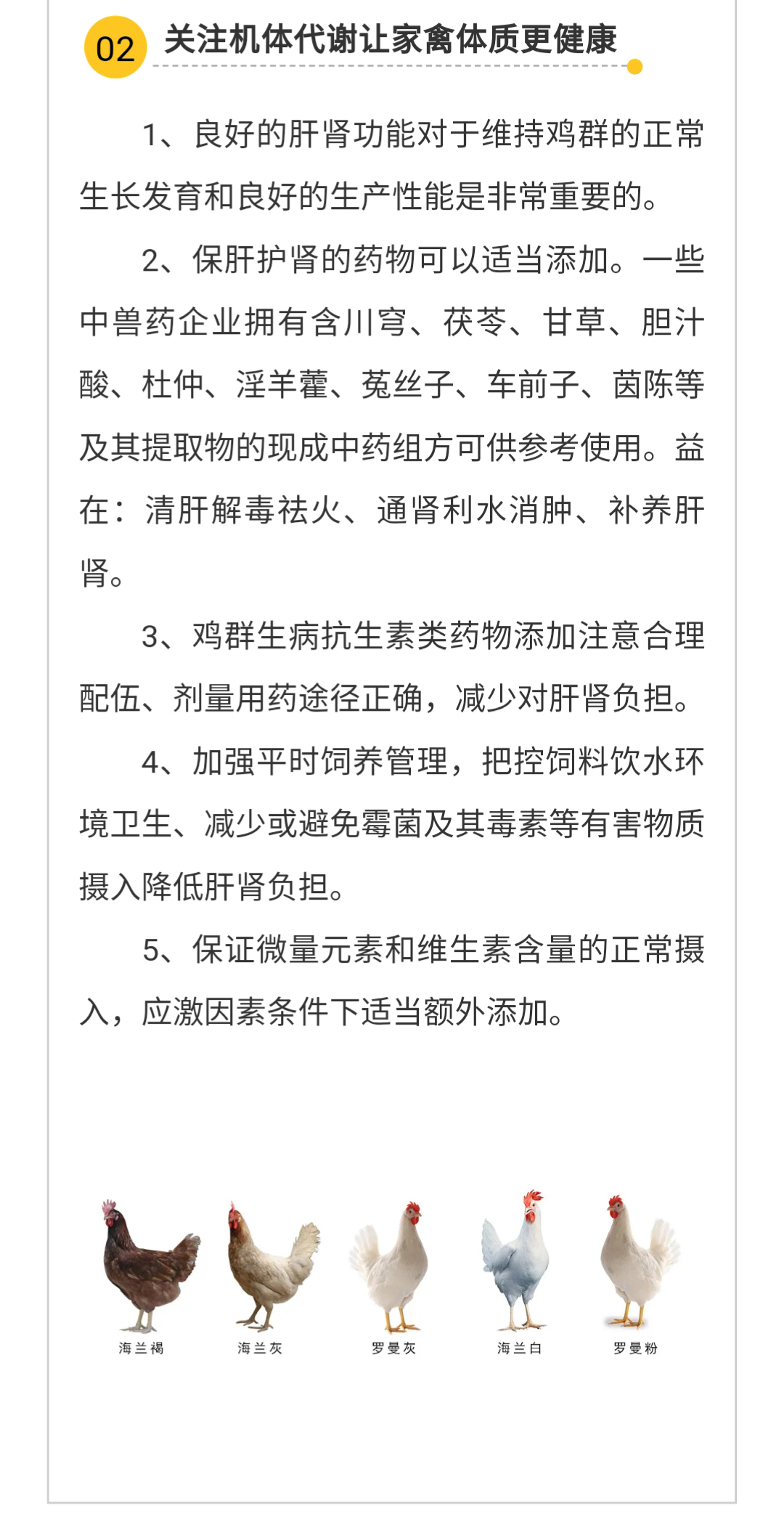 澳门十大电子游戏入口网站