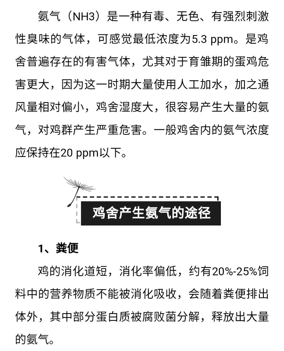 澳门十大电子游戏入口网站