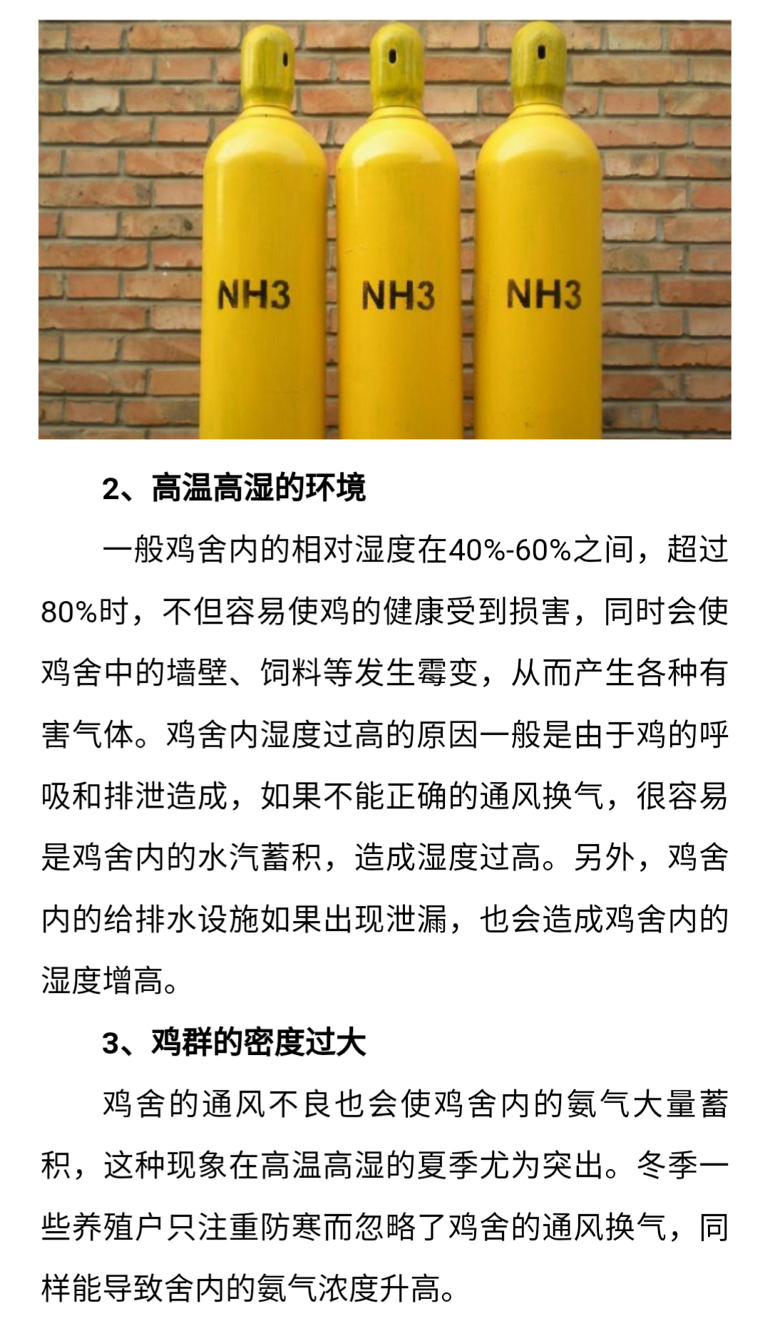 澳门十大电子游戏入口网站