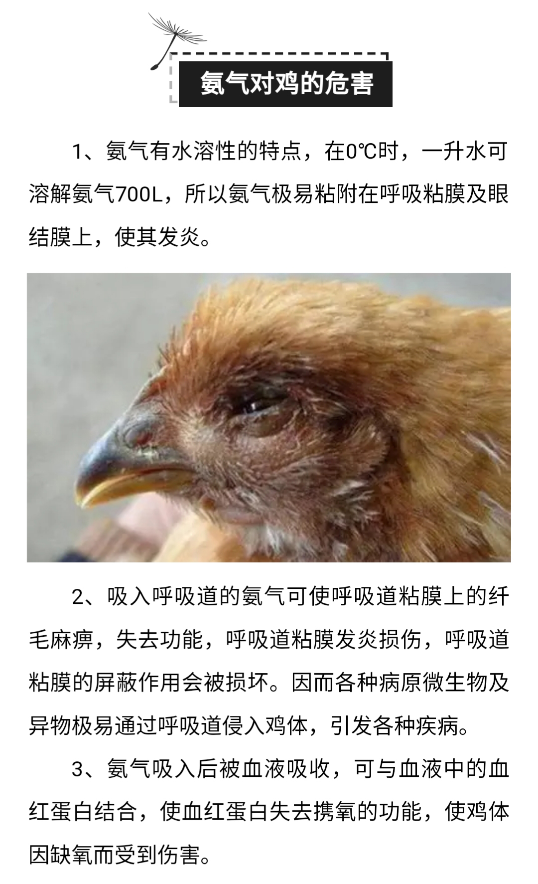 澳门十大电子游戏入口网站