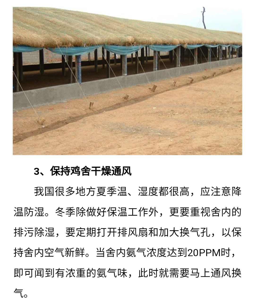 澳门十大电子游戏入口网站