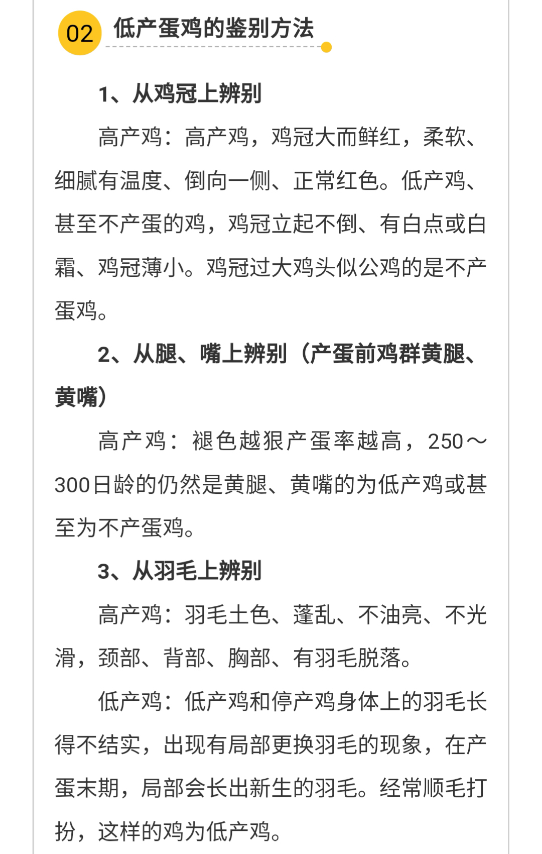 澳门十大电子游戏入口网站