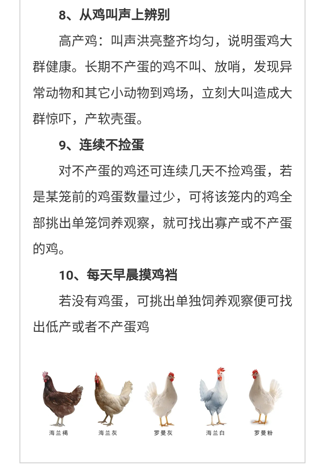 澳门十大电子游戏入口网站