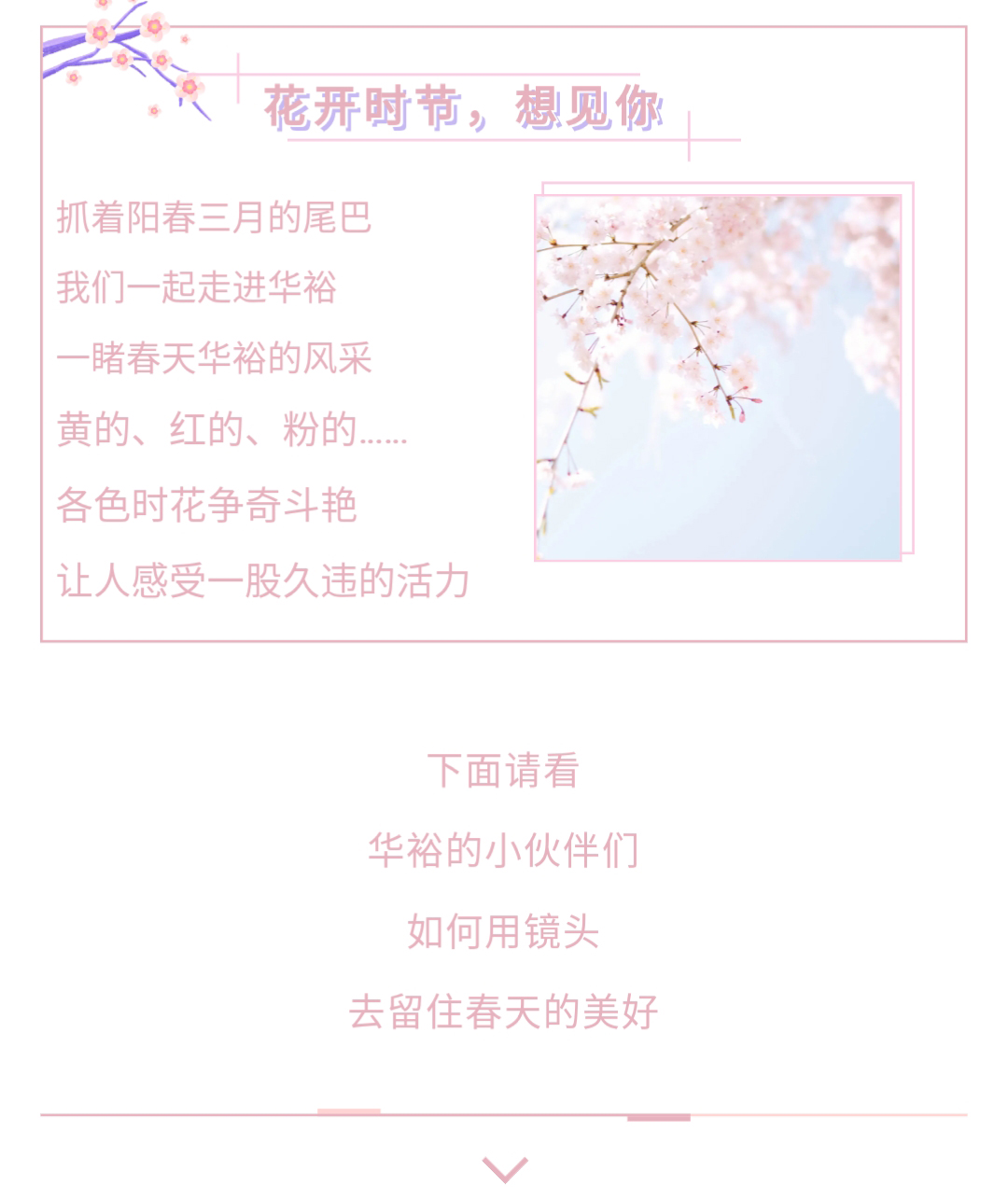 澳门十大电子游戏入口网站