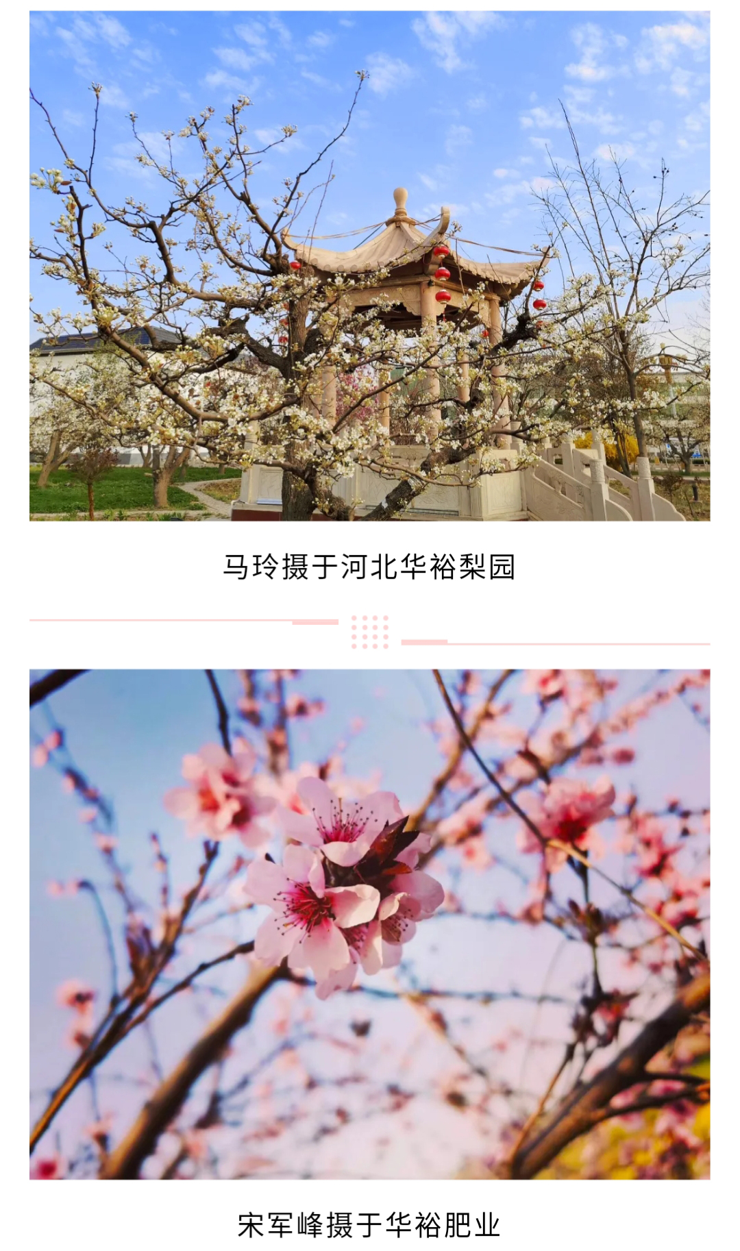 澳门十大电子游戏入口网站