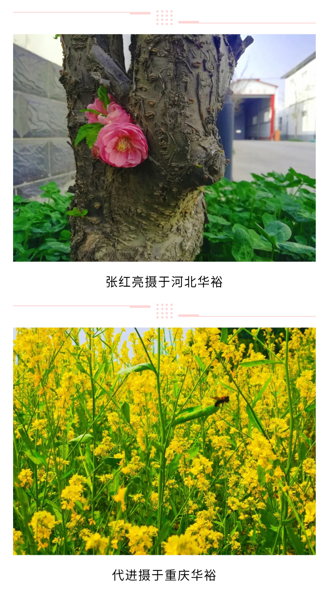 澳门十大电子游戏入口网站