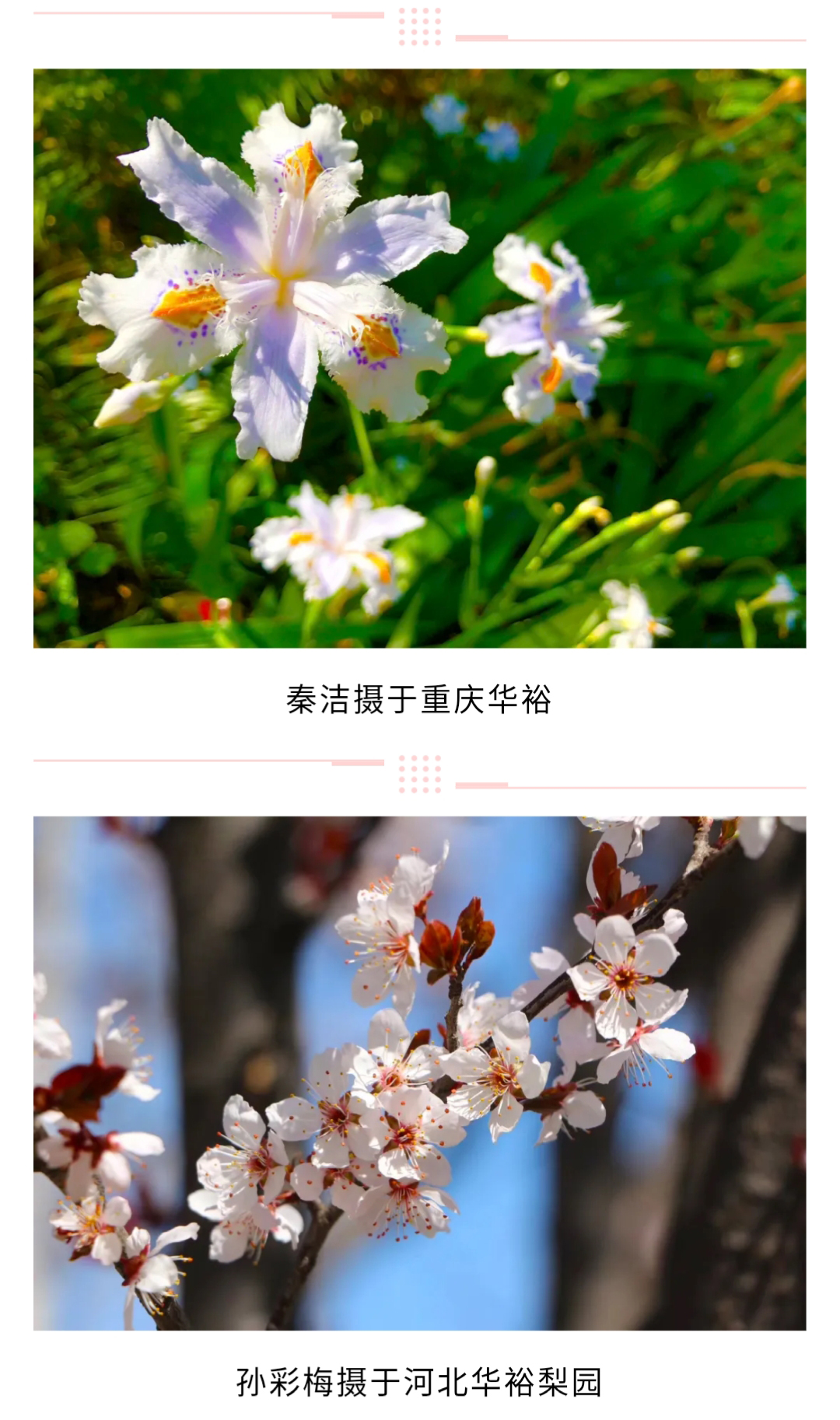 澳门十大电子游戏入口网站