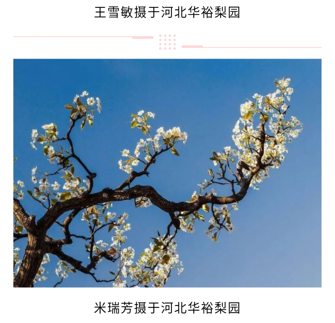 澳门十大电子游戏入口网站