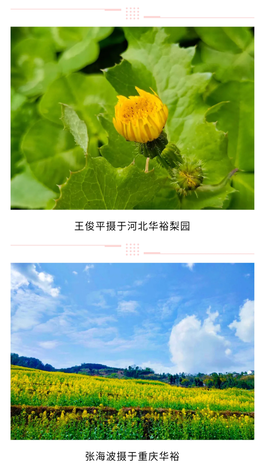 澳门十大电子游戏入口网站