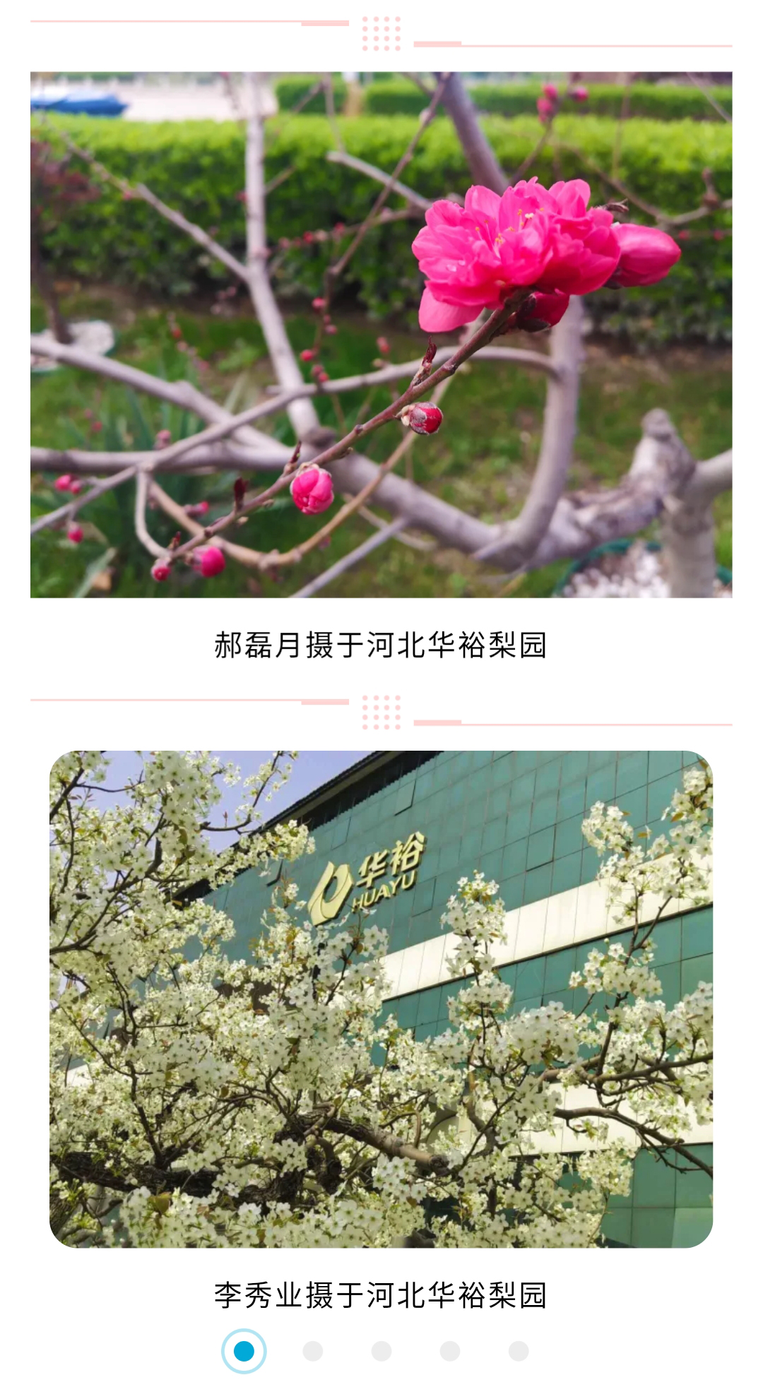 澳门十大电子游戏入口网站