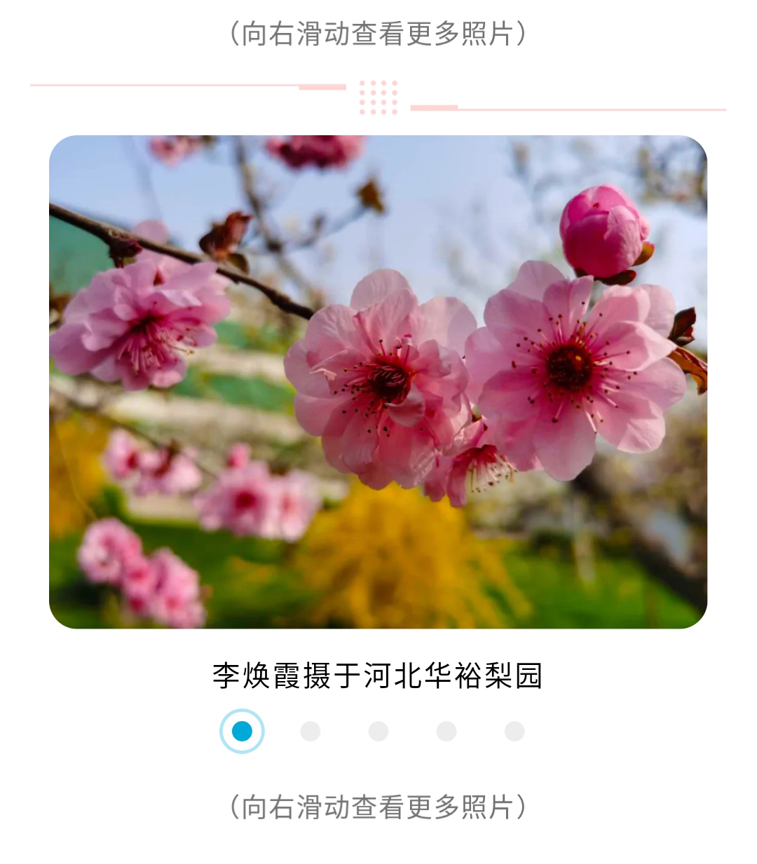 澳门十大电子游戏入口网站