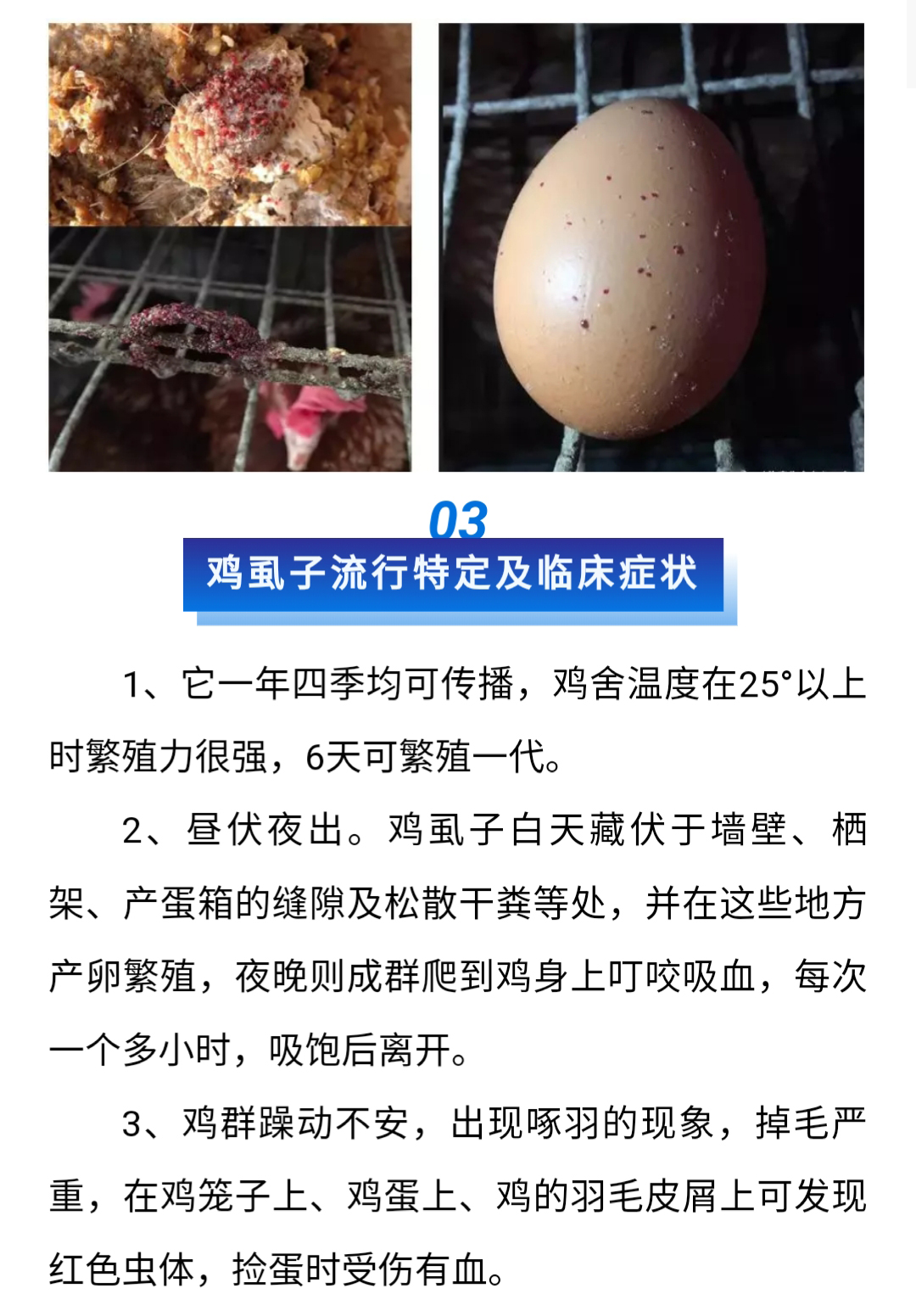 澳门十大电子游戏入口网站