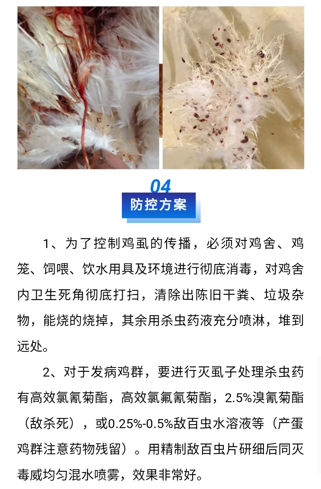 澳门十大电子游戏入口网站