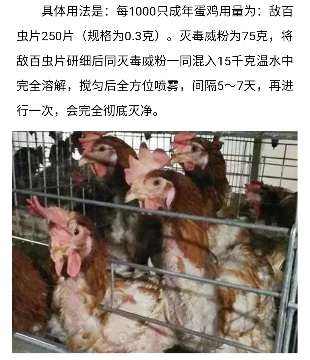 澳门十大电子游戏入口网站