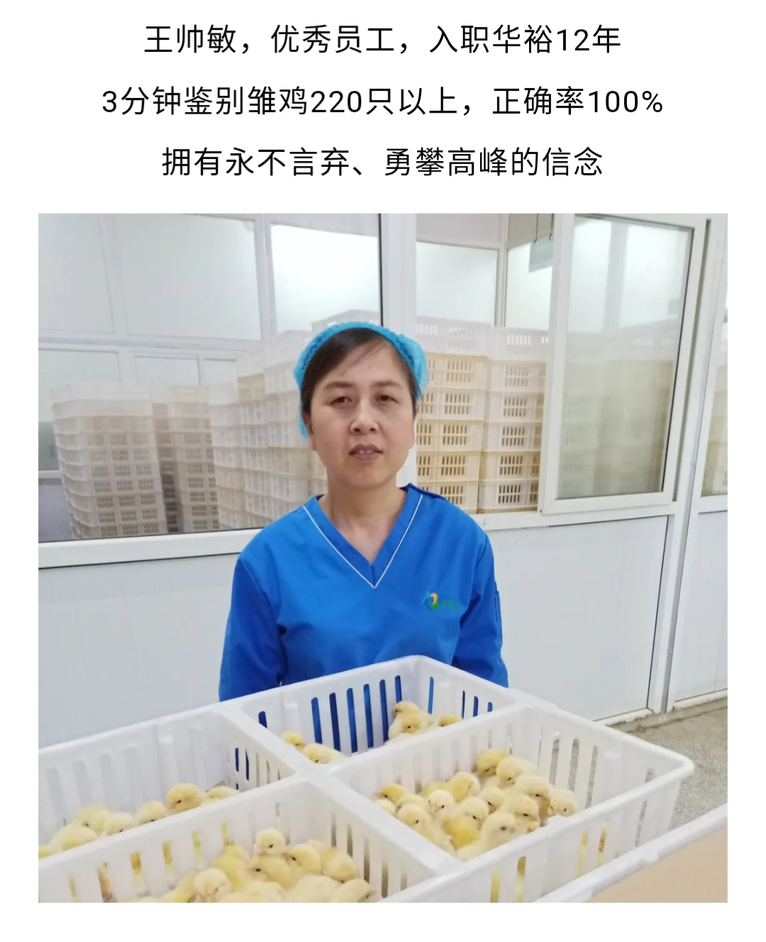 澳门十大电子游戏入口网站