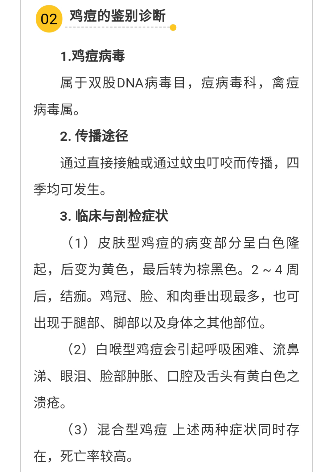 澳门十大电子游戏入口网站