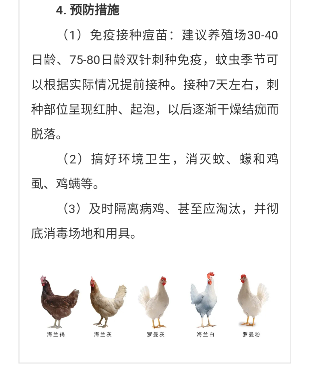 澳门十大电子游戏入口网站